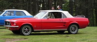 Ford Mustang I (photo prise a Affoux (France, Rhone) le 2007-05-08) (8)
